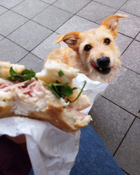 Untitled design (17)